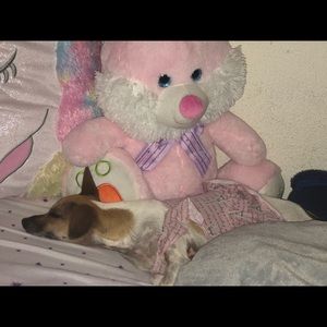 Meet your Posher, Christy